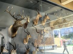 -陕西自然博物馆