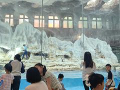 -帝企鹅自助餐厅•儿童岛•真企鹅(长隆企鹅酒店)