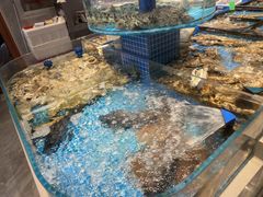 -好礼家海鲜•海肠捞饭大王(金沙滩念慈别墅店)