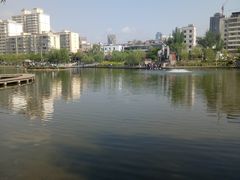 -雁滩公园