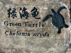 -芜湖新华联大白鲸海洋公园