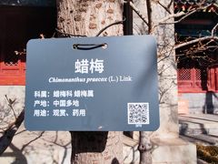 -国家植物园