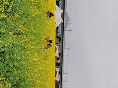 -光明小镇欢乐田园