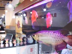 -零·壹新疆羊肉抓饭