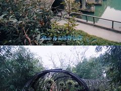 -望江楼公园