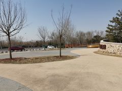 -东郊湿地公园