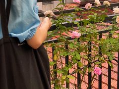 -边渡咖啡烘焙店(昙华林店)