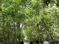 -WeLope紫金山探险公园