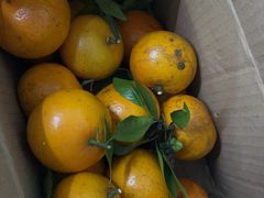 -佬牌火辣辣衢州特色菜(皇冠总店)