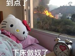 -大家乐(广州天河城六楼店)