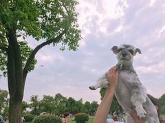 -艾溪湖湿地公园