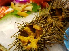 -割烹旭日本料理(龙湖狮山天街店)