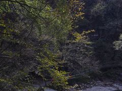 -少华山国家森林公园