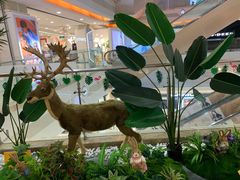 -巴黎春天(浦建店)