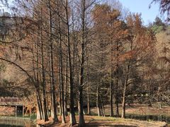 -绍兴镜湖国家城市湿地公园