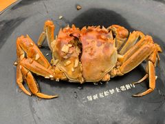 -二钳洞庭虾蟹·江湖菜(成都鹭岛店)