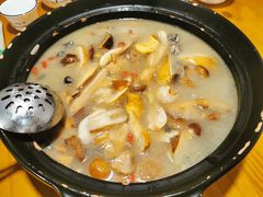 -云朵石锅鱼·野生菌餐厅(蒗放店)