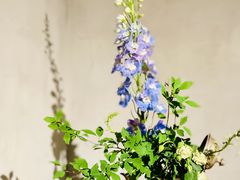 -时光花园(白鹭洲店)