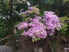 -太姥山风景名胜区