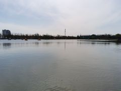 -上海长兴岛郊野公园