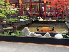 -老山东·山东菜(鲁菜名店)