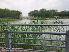 -大兴滨河森林公园