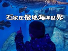 -石家庄极地海洋世界