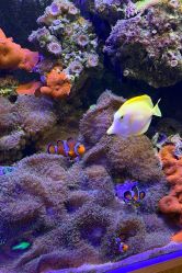 -Zoolung Zoolung动物主题公园(海信广场店)