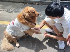 -圆梦证件照拍摄(人民西路店)