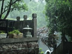 -龙井壹号·茶缘山景宴(龙井村店)