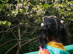 -舒家湾天主教堂