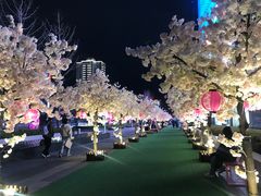 -玩米匠(寿司·刺身·金水正弘城店)