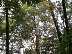 -成都市活水公园