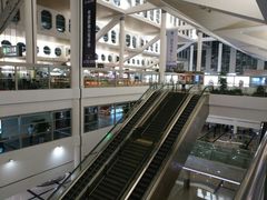 -厦门高崎国际机场-T3航站楼