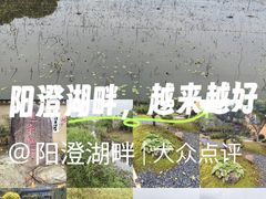 -阳澄湖半岛旅游度假区