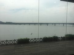 -江东鲈鱼馆(正江东)