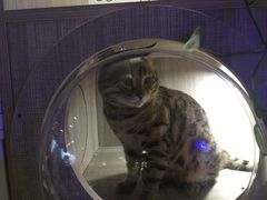 -zoonana室内动物园(东方福来德店)