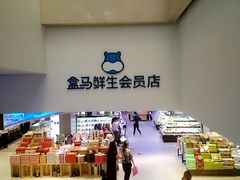 -盒马鲜生(大成店)