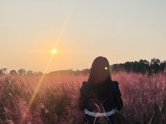 -花博汇(知音花月夜)