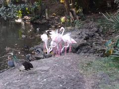 -卡塞拉自然公园