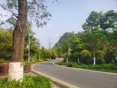 -阿哈湖国家湿地公园