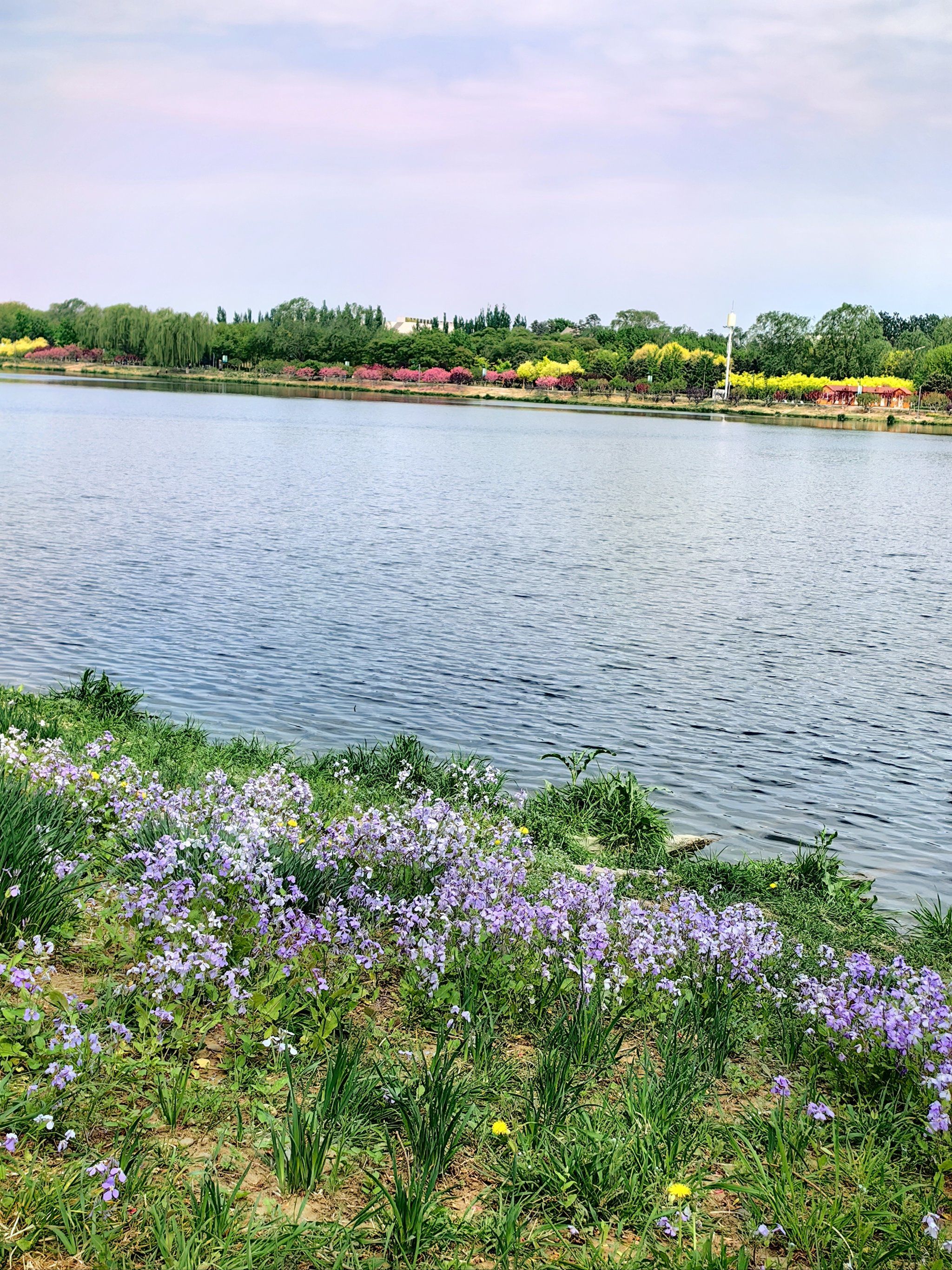 住进风景里治愈系风景 \\n记录好风景 这里太美啦 \\n通州大院佑