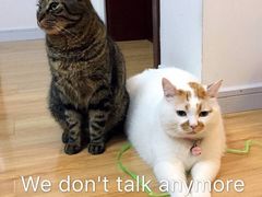 -马哥孛罗咖啡厅·Cafe Marco (厦门马哥孛罗东方大酒店)