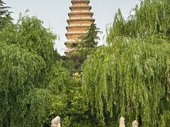 -洛阳白马寺