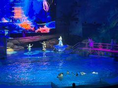 -海合安武汉极地海洋公园