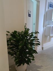 -天津伊美尔医疗整形美容专科医院