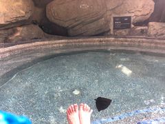 -海口观澜湖火山温泉谷