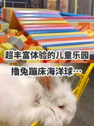 -萌兔星空蹦床撸兔馆