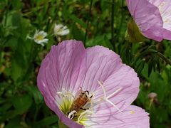 -爱定格照相馆.证件照(周浦万达店)