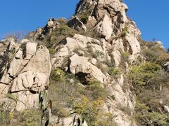 -大岭沟猕猴桃谷风景区